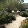 drought_tolerant_beds_1600x1200